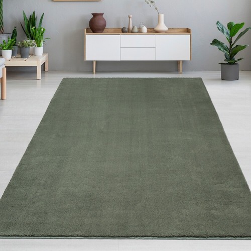 Tapis salon vert le - salon,