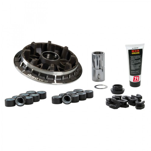 Variateur maxiscooter malossi - variateur,