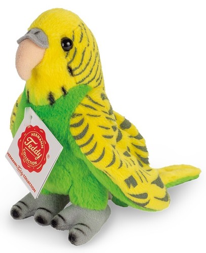 Perroquet vert budgerigar - perroquet,