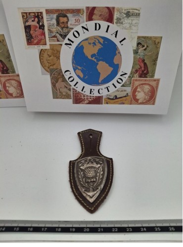 Insigne 408 bcs - insigne-p1, 408°