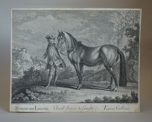 Martin johann elias - martin,