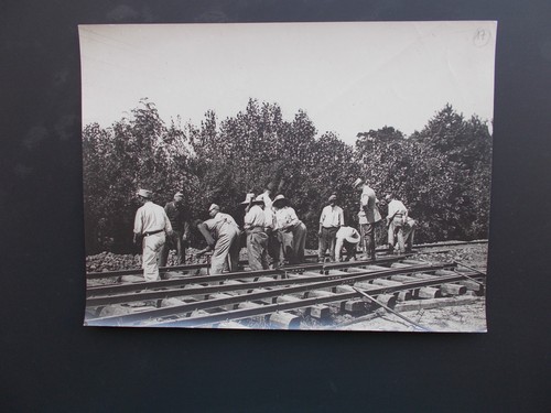 Photo originale guerre - photo, originale.guerre