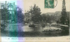 12 MILLAU jardins des plantes