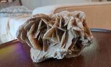 Rose Des Sable Collection