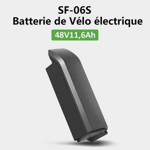Phylion ebike batterie - phylion,