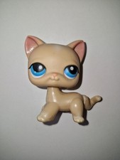 ??figurine  PETSHOP original chat européen short hair 228  pet shop LPS