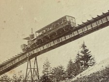 Photo Vintage Albuminée 1900