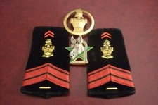 PAIRE DE FOURREAUX GENIE +