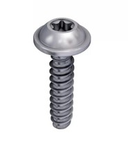 Vis Torx Noire K30X20 Pour