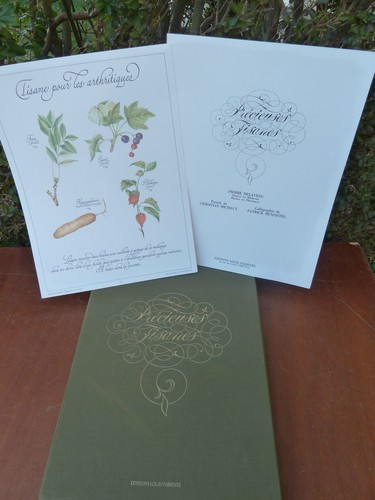 Coffret pastels - coffret,