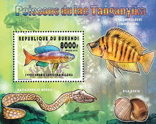 Stamps burundi 2014 - burundi, perf