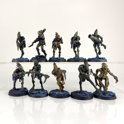 X10 carnivores kroots - x10,