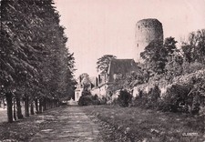 37 CHATEAU RENAULT UNE ALLEE