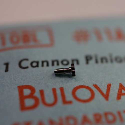 Chaussée bulova 10bl - -,