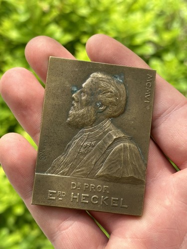 Médaille professeur edouard - médaille,