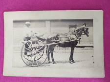 Photo calèche 1 place avec