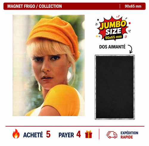 Magnet frigo sylvie - frigo, vartan