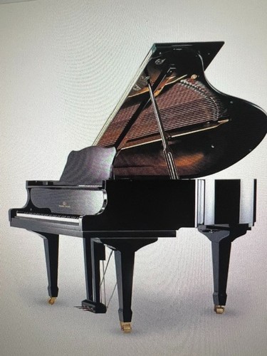 2001 young chang baby - baby, grand