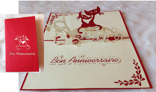 Carte voeux d anniversaire - voeux,