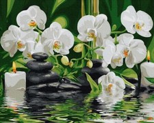 Peinture par numéros sans cadre. Orchidées dans l'eau