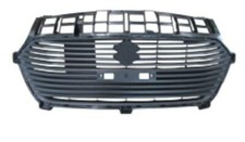 Grille Pare-Choc Centrale pour