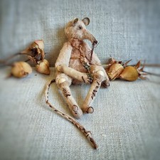 Creepy rat. Poupée de