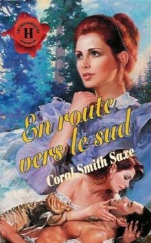 Route vers sud - route,