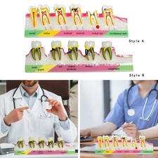 Démonstration Modèle