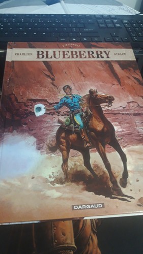 Blueberry integrale 1 - blueberry,