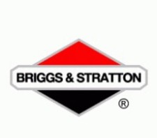 15hp Briggs ohv intek