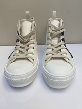 Canvas DIOR B23 Asterodior