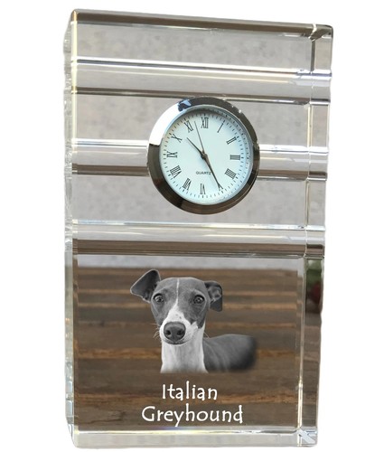 Italien italian lévrier - lévrier,