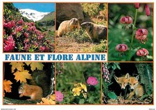 Animaux - Flore et Faune Alpine - Multivues - CPM - Voir Scans Recto-Verso