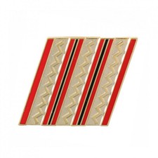 INSIGNE DE CALOT REDUCTION