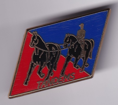 Rare pins pin gendarmerie - pins, pin's