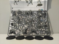 Barbgaunts tyranides - 5,