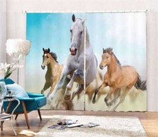 Maison Course Course De