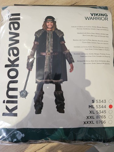 Déguisement viking nordique