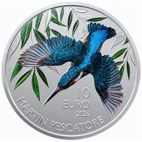 Pièce monnaie 10 euro - pièce,