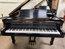 Steinway grand piano - steinway, b