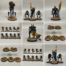 Necron Paquet Force Indomitus