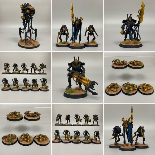 Necron paquet force indomitus - necron,