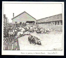 1898  --  ILLINOIS  PARC A PORCS A SAINT PAUL   PORCHERIE   3N887