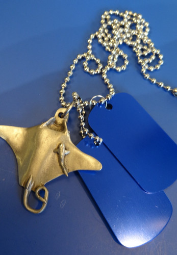 Manta ray - manta,