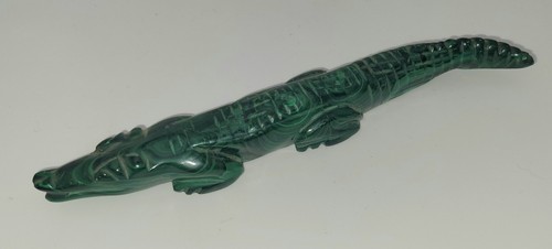 Crocodile malachite véritable - crocodile,