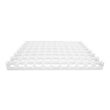 88 Compartments Couveuse