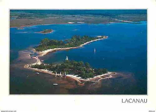 Carte postale lacanau - -,
