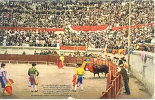 Nimes arènes corrida - nimes, 12