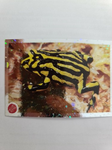 Image sticker autocollant