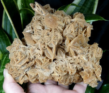 Grande rose des sables 13x13cm - des,